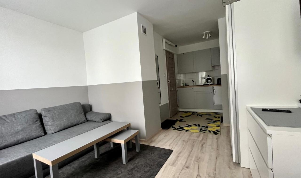 Mlawska 33 Apartment Rypin Exterior photo